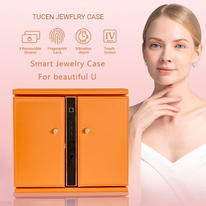 Fashion Home Jewelry Money Safe Box with Necklace Earrings